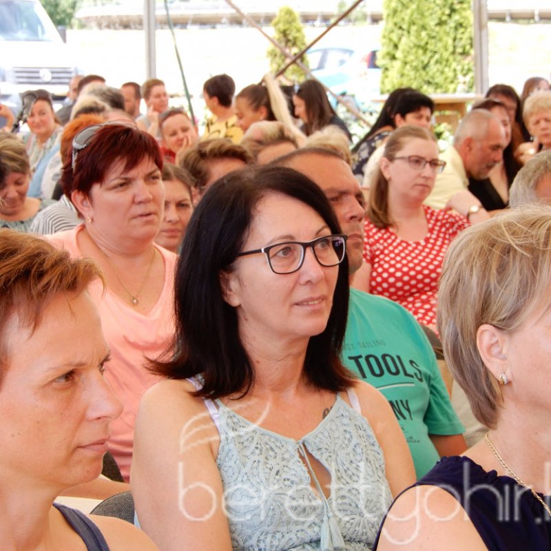 Semmelweis napi party 20